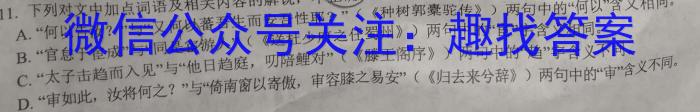 广西省柳州市校际联盟高一年级期末考试(23-577A)语文