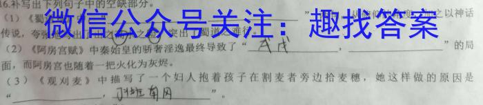 炎德英才大联考 湖南师大附中2022-2023学年度高二第二学期第二次大练习语文