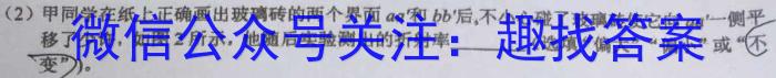 2023年陕西省初中学业水平考试·中考信息卷（A）.物理