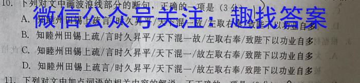 合肥七中·阜阳城郊中学·合肥七中紫蓬分校2023届高三最后一卷语文