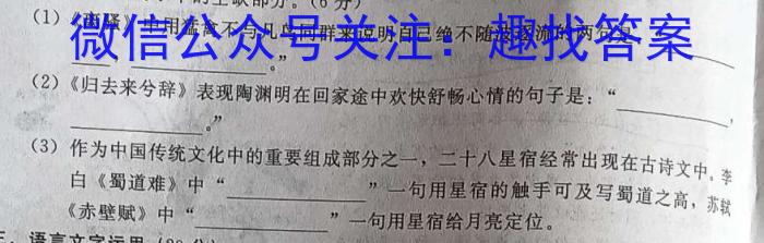 安徽省巢湖市2022-2023学年度八年级第二学期期末教学质量检测语文