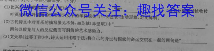 河南省2023年春期高中二年级期终质量评估语文