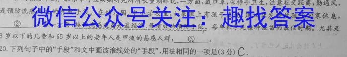 安徽省毫州市涡阳县2022-2023学年度八年级第二学期期末质量检测语文