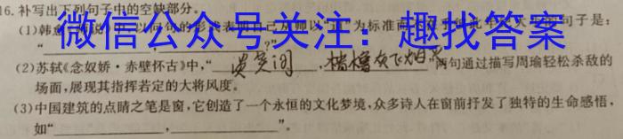 安徽省C20教育联盟2023年中考最后典题卷(二)语文