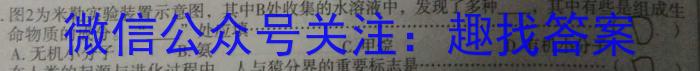 鼎成大联考2024年河南省普通高中招生考试（一）数学