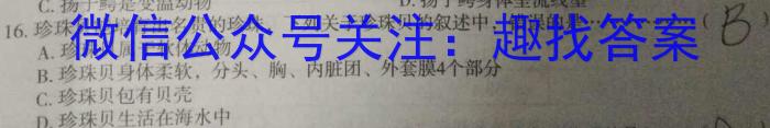 安徽省2024年中考密卷先享模拟卷(三)数学