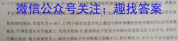 文博志鸿 2023年河北省初中毕业生升学文化课模拟考试(状元卷一)物理.