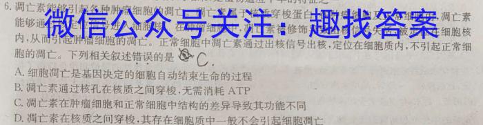 2023年深圳市普通高中高一年级期末调研考试数学