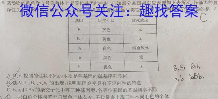 [高考仿真模拟]2023届九师联盟高三年级5月质量检测（XG）生物试卷答案