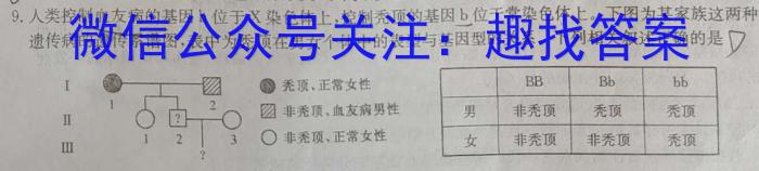 ［江西十校联考］江西省2024届高三年级下学期3月联考数学