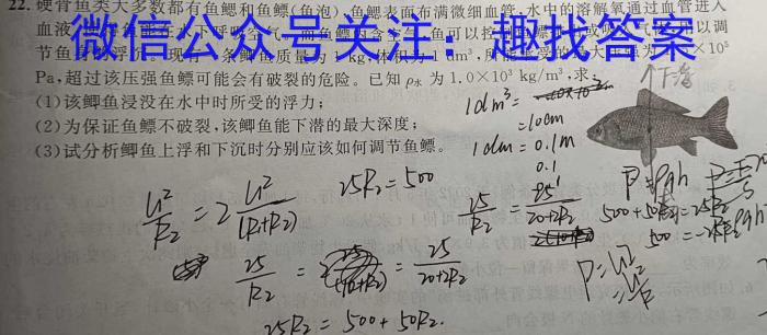2023年葫芦岛市普通高中高三年级第二次模拟考试物理.