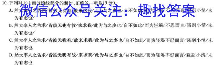 2023年陕西省初中学业水平考试信息卷（C）A语文