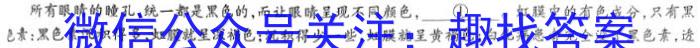 2023年河北大联考高三年级5月联考（524C·HEB）语文