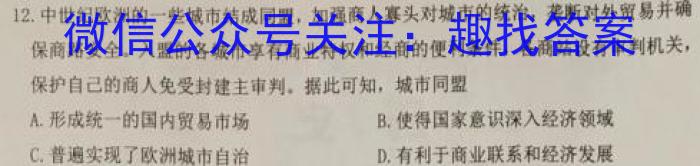 天一大联考 2022-2023学年高二年级阶段性测试(五)历史