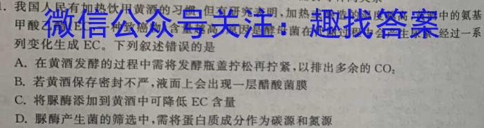 徽师联盟安徽省2024届高三12月质量检测卷数学