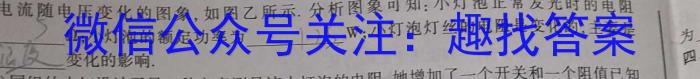 2022-2023学年湖北省高二试卷5月联考(23-455B)l物理