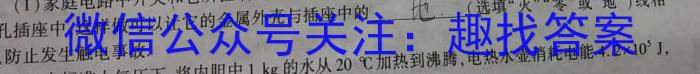 “c20”教育联盟2023年中考“最后典题卷”（一）q物理