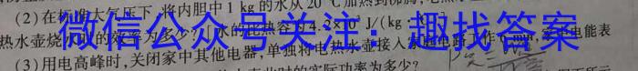 名校之约—2023河南省中招考试仿真试卷(A)l物理
