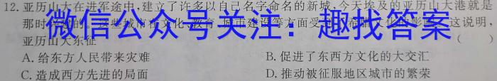 巴蜀中学2023届高考适应性月考卷(十)历史