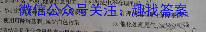 2023年安徽省初中学业水平考试 冲刺(一)化学