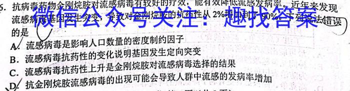 广东省2023-2024学年度高二年级11月联考数学