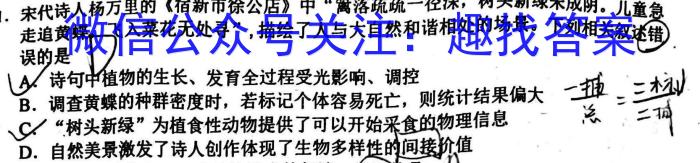 2024年深圳市普通高中高一年级调研考试（期末）数学