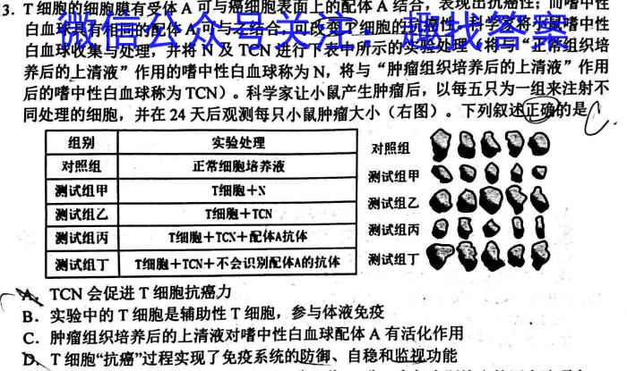 湖南省三湘名校教育联盟2023-2024学年高二年级11月联考数学