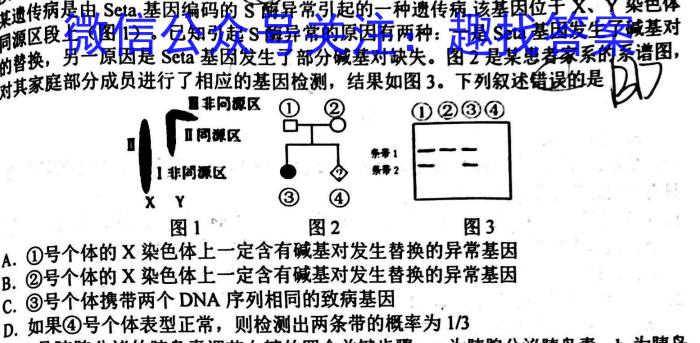 安徽省2024-2025学年度高二开学摸底大联考数学