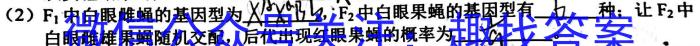 2024年陕西省初中学业水平考试全真模拟试题(3月)数学