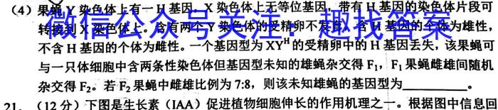 ［山西二模］2024年山西省高考考前适应性测试数学