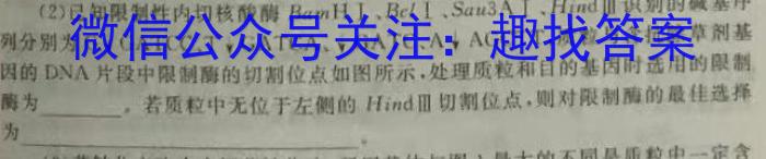 河南省2022～2023学年高一下学期6月“双新”大联考数学