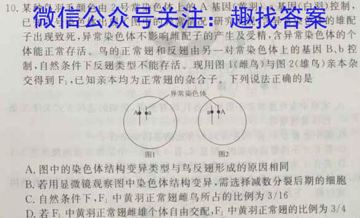 陕西省2023-2024学年高一模拟测试卷（2.27）数学