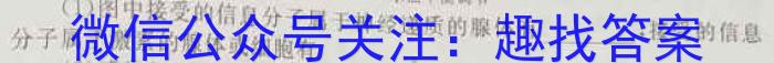 天一大联考·皖豫名校联盟2024届高中毕业班第二次考试数学