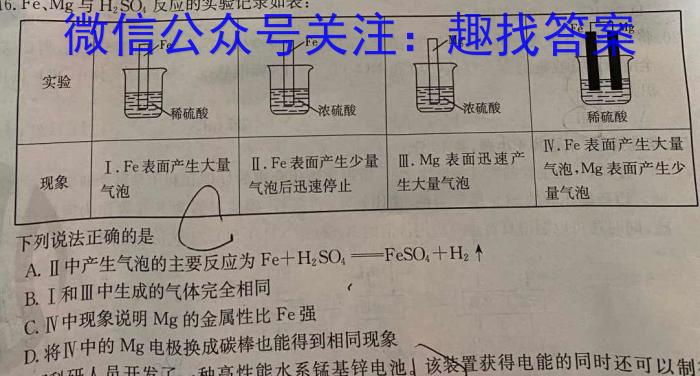 2023年陕西省初中学业水平考试模拟试卷(T4)化学