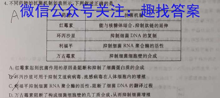 浙江省2024-2023学年高二年级下学期5月联考数学