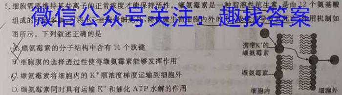 2024届江西省高三7月联考(24-01C)数学