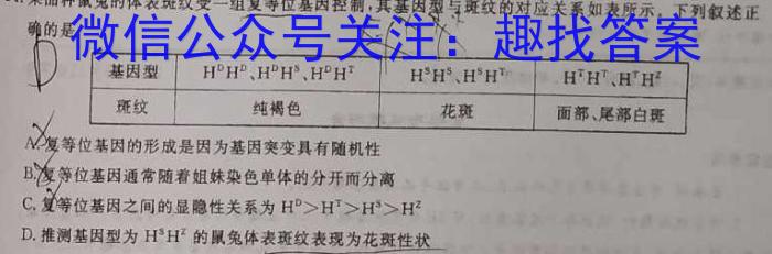 文博志鸿 2023年河南省普通高中招生考试模拟试卷(压轴一)数学