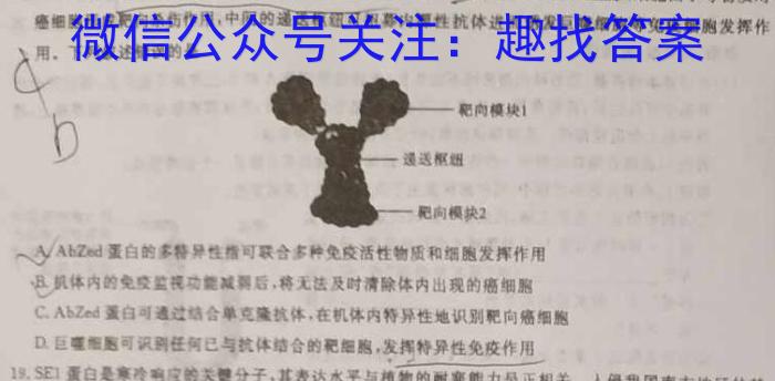 山东省2022一2023学年度高二第二学期质量检测(2023.07)数学
