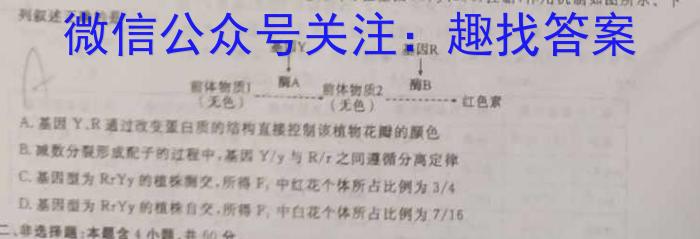 万友2022-2023学年下学期八年级教学评价四(期末)数学