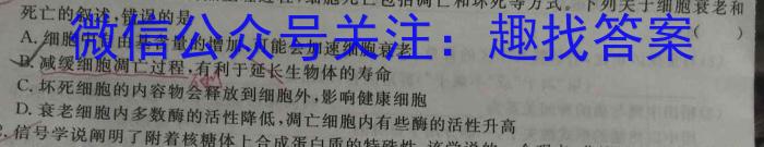 安徽省霍邱县2023-2024学年度七年级第二学期期中考试数学