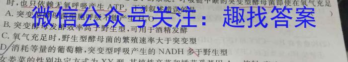 江西省2024届九年级11月考试（二）［11.28］数学