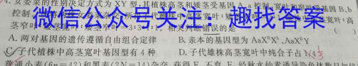 安徽省2024届下学期九年级开学考试（2.28）数学