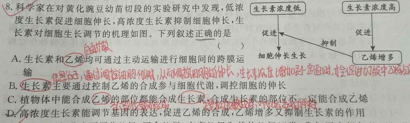 江门市2023年普通高中高二第二学期调研测试（二）生物