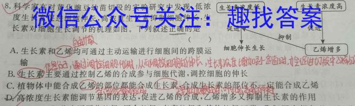 耀正文化 合肥八中2023届最后一卷数学