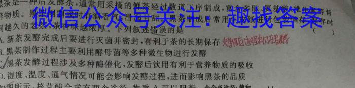 河南省2023-2024学年焦作市九年级第一次模拟测试试卷数学