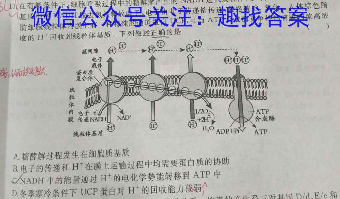 2024届高考模拟卷(二)2数学