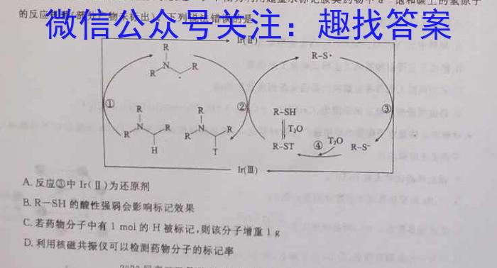 山东省2022-2023学年高中高一年级下学期教学质量检测(2023.07)化学