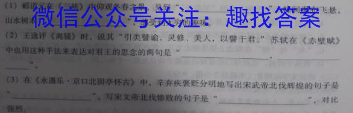 南昌县2024-2023学年度第二学期八年级期末考试语文