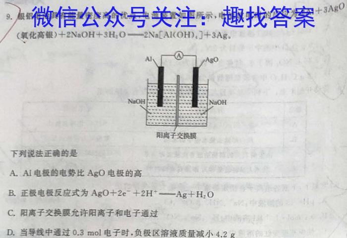 2023年山西省初中学业水平考试 定心卷化学