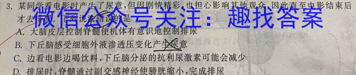 2024年河南省新高考信息卷(四)数学